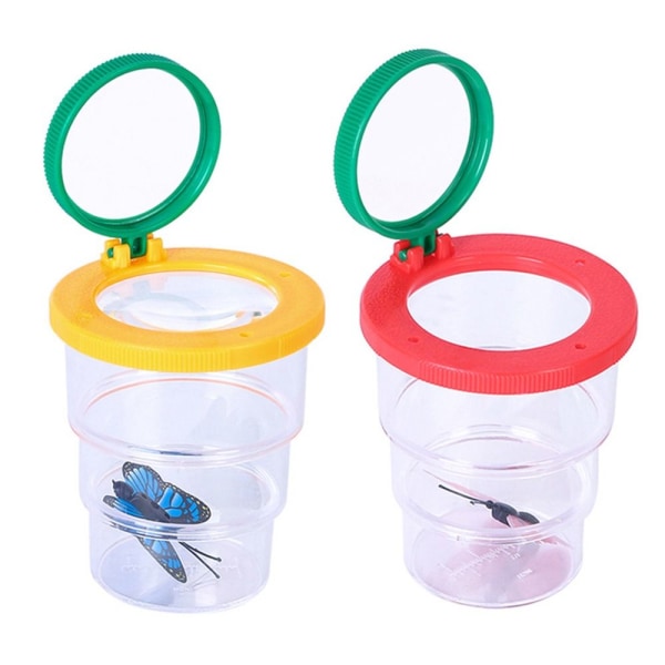 Bug Viewer Insect Box Magnifier 02 02 02