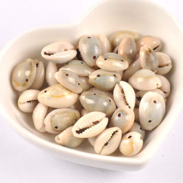200 stk doble hullperler Cowrie Shell Beads Seashell Beads