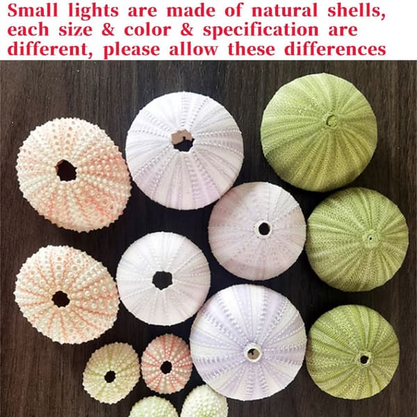 Shell Mushroom Night Light LED Bordlys DIY MATERIALE-C DIY DIY Material-C