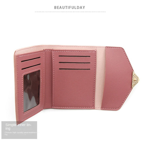 Läder Damplånböcker Moneybags ROSA pink