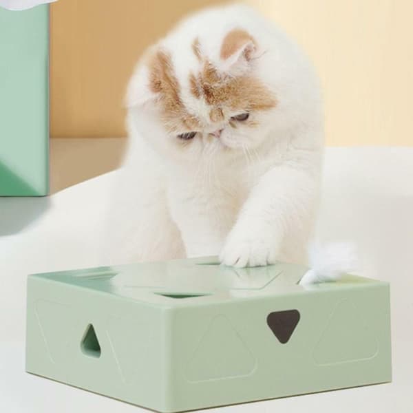 6 Stk Cat Feather Legetøj Erstatninger Head Cat Magic Box