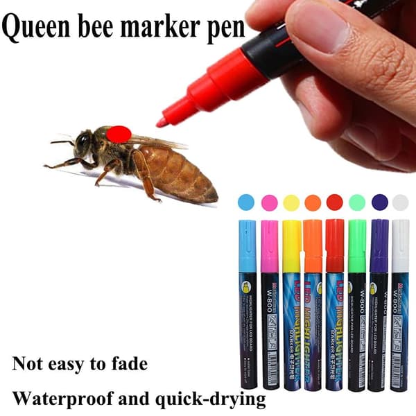 5 ST Queen Bee Marker Pen LED Highlighter VIT VIT White