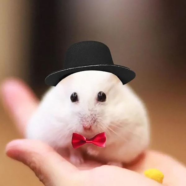 Små djur Hattar Pet Cap SVART Black