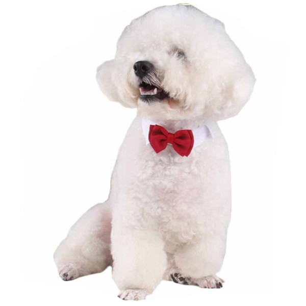 Hundslips fluga krage SVART S Black S