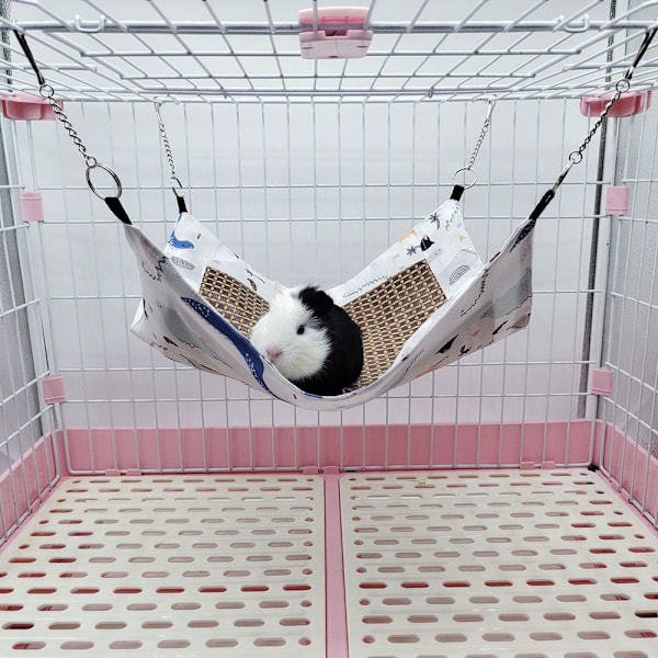 Hamsterin riippumatto, pieni lemmikkimatto DINOSAURIKKO