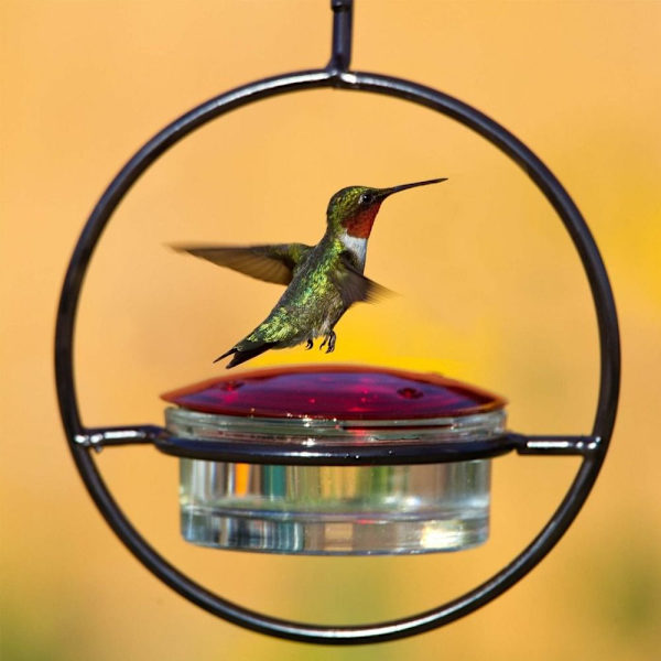 Hummingbird Feeder Fugle Vand Feeder SORT black