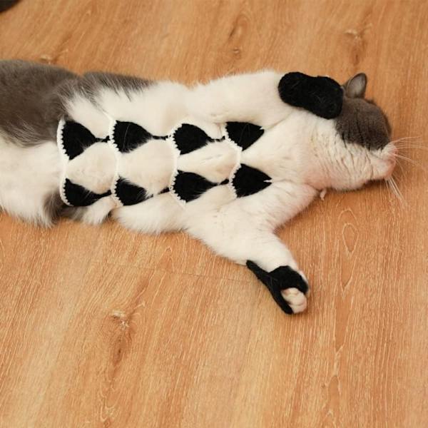 Pet Bikini Klær Pet Cat Bikini SVART Black