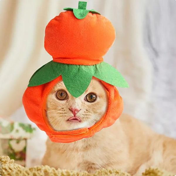 Kalebass Hat Pet Hat Dog Dress Up Huvudbonad