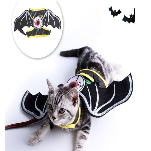 Kattdräkter Kattdragrep L L