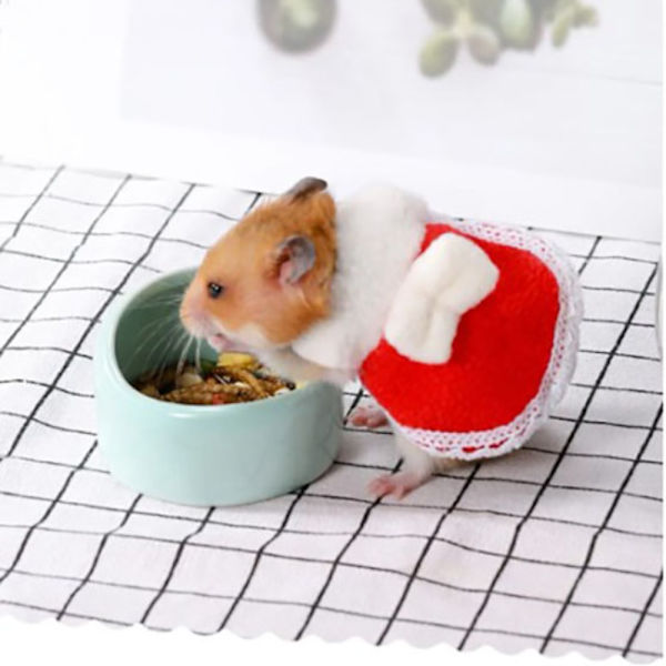 Härlig Hamsterklänning Smådjurskläder MSVART KLÄNNING SVART MBlack dress