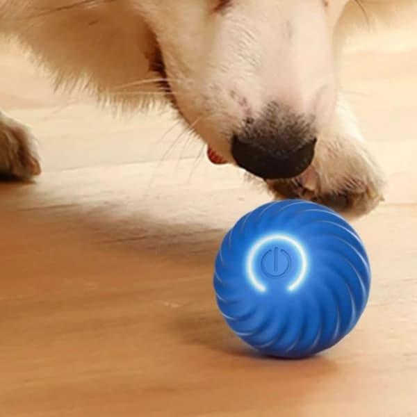 Hundleksaksboll Självgående bollar BLÅ blue