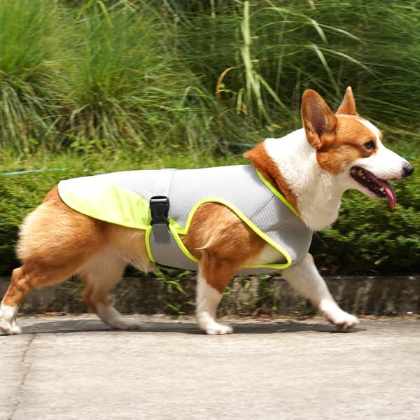 Sommer Hunde Kølevest Hundetøj LYS GRÅ M light grey M