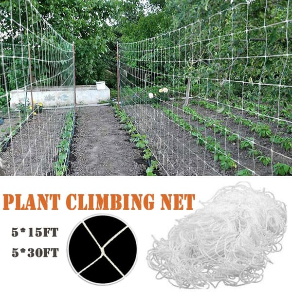 Plant Support Mesh Trädgårdsnät 5X30FT 5X30FT 5x30FT