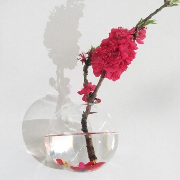 Hydroponinen maljakko Terrarium Ball Flower Pot L L