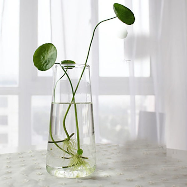 Vase Glasvasen 7 7 7