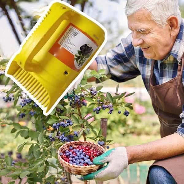 Blueberry Picker Berry Picker Collector Rake