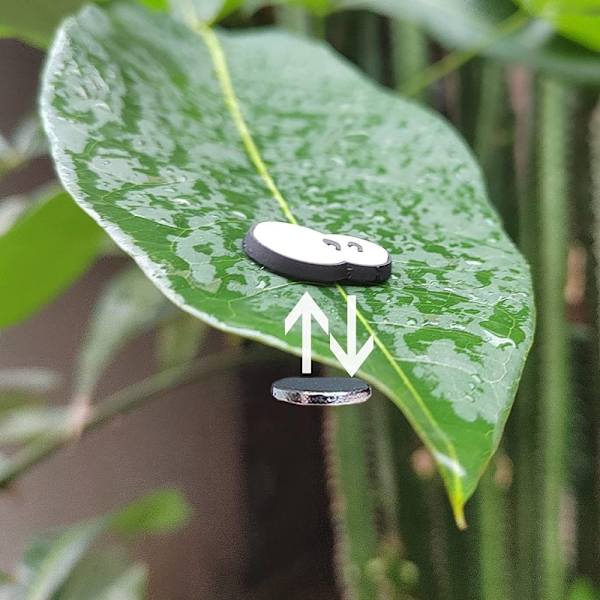 6 kpl / set Plant Magnet Pins Charms Plant Accessories