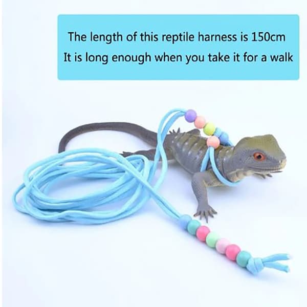 2st Lizard Dragrep Reptil Lysande Bälte BLÅTT Blue