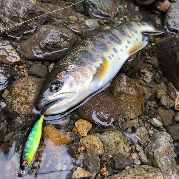 sjunkande Minnow Baits Fiskkrokar D D D