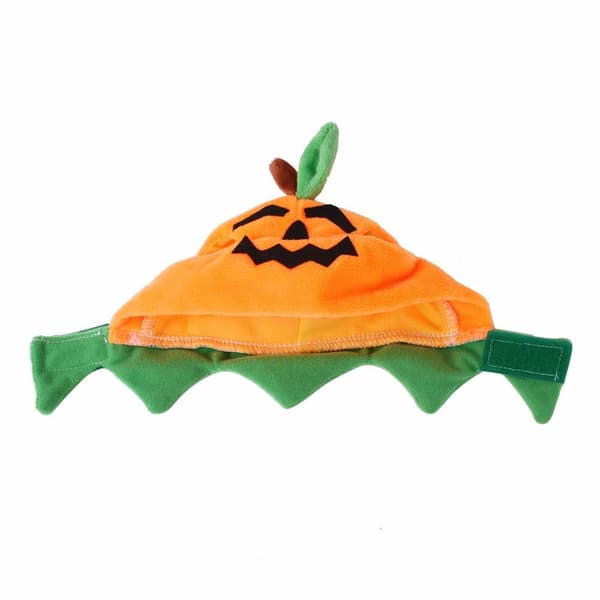 Katter Halloween Gresskarhatt Gresskardemonhette Kattehodeplagg