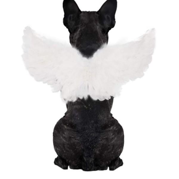 Hund & Katt Transformation Dräkt Liten Hund Byt Outfit Black S
