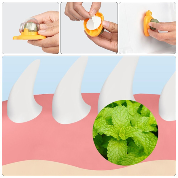 2STK Catnip Balls Cat Mint ORANGE GULEROD GULEROD Orange Carrot-Carrot