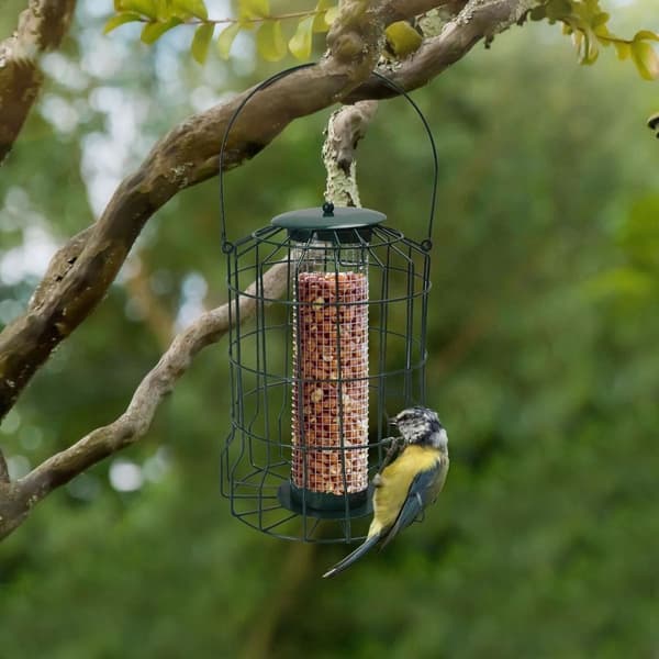 Fuglefoder Fuglebur FARVE 1 FARVE 1 Color 1