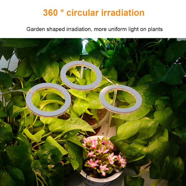 Grow Light Ring Lampe 1 RING 1 RING 1 Ring