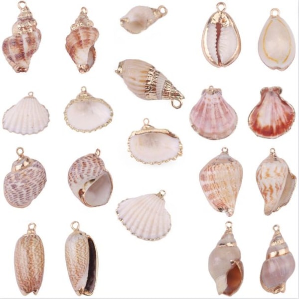 20 stk Natural White Cowrie Seashells Charm Conch Shells