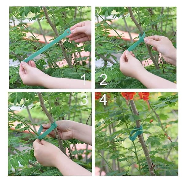 Hageslips 8INCH 8inch