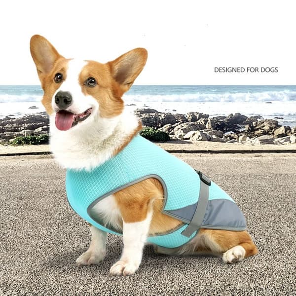 Sommer Hunde Kølevest Hundetøj LYS GRÅ M light grey M