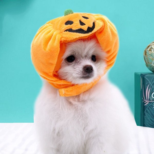 Halloween Dog Hat Pumpa Pet Cap LSTYLE 4 STIL 4 LStyle 4