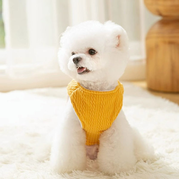 Hundväst Pet Clothes SA A SA