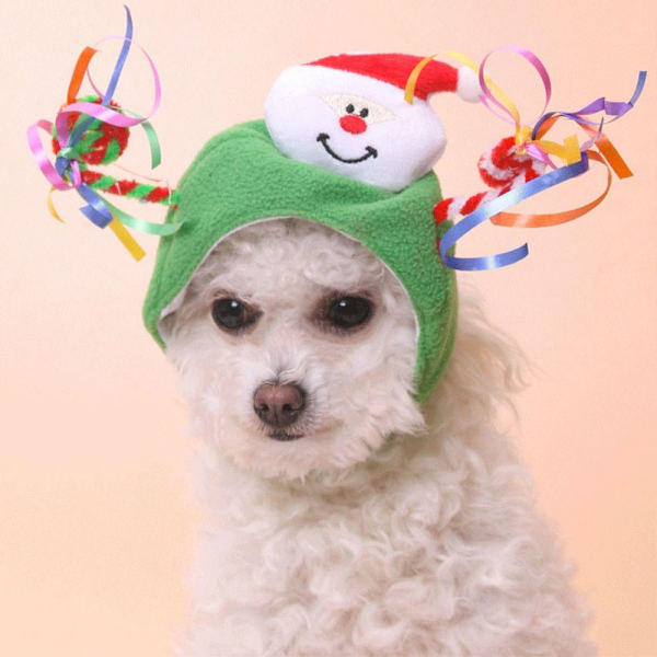 Julhundhatt Santa Pet Cap STIL 5 STIL 5 Style 5