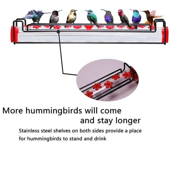 Hummingbird Feeder Birds Matning A A A