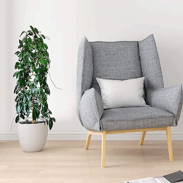 Plant Stakes Support Stakes 2 2 2