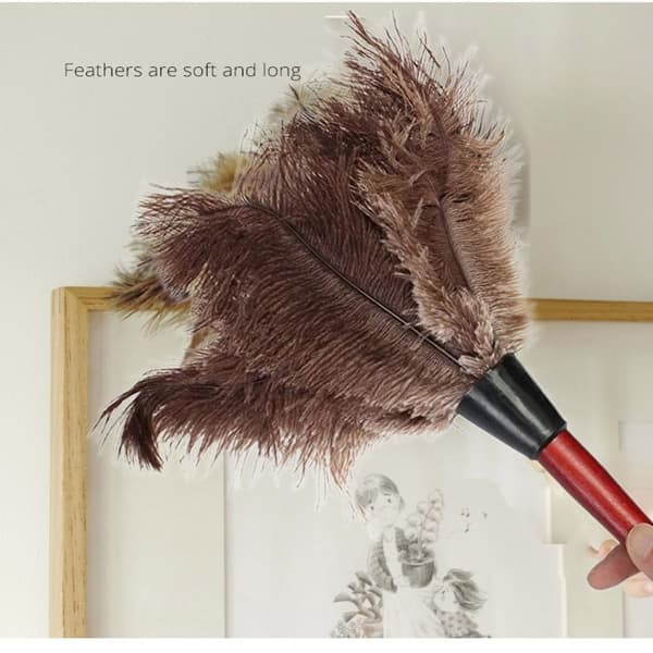 Strudsfjerbørste Strudsfjerpelsbørste Duster