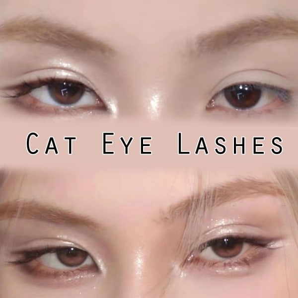 5 Par Cat Eye Lashes Faux Mink Ögonfransar Naturliga långa