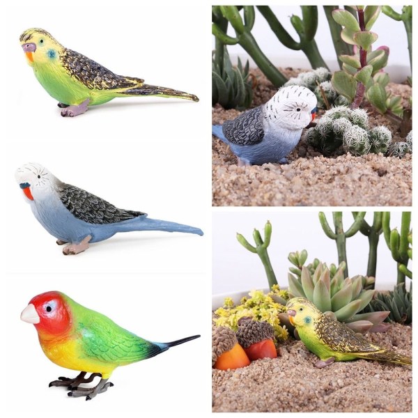 Miniatyr papegøyefigurer Naturtro fuglemodell 3-1 STK 3-1 STK 3-1PCS