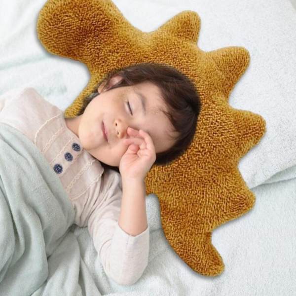 Dinosaur Pillow Dinosaur Theme PTERODACTYL PTERODACTYL Pterodactyl