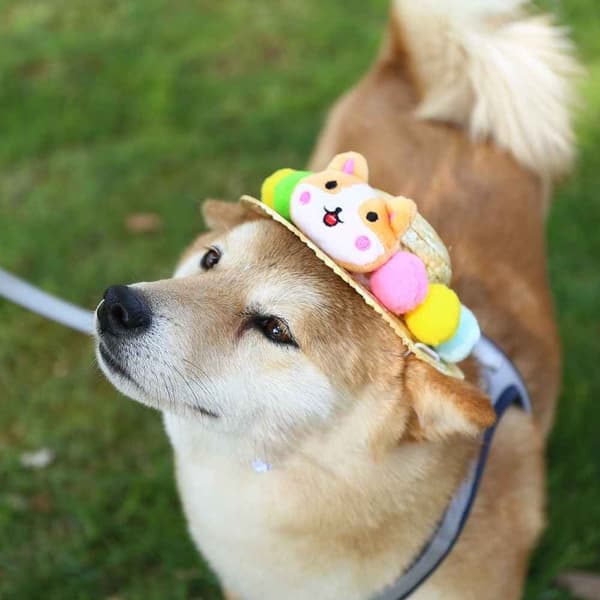 Pet Sunhat cap STYLE 3 STYLE 3 Style 3