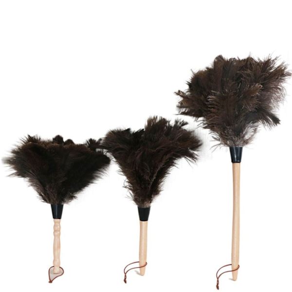 Feather Duster Strutsi Duster Feather M M