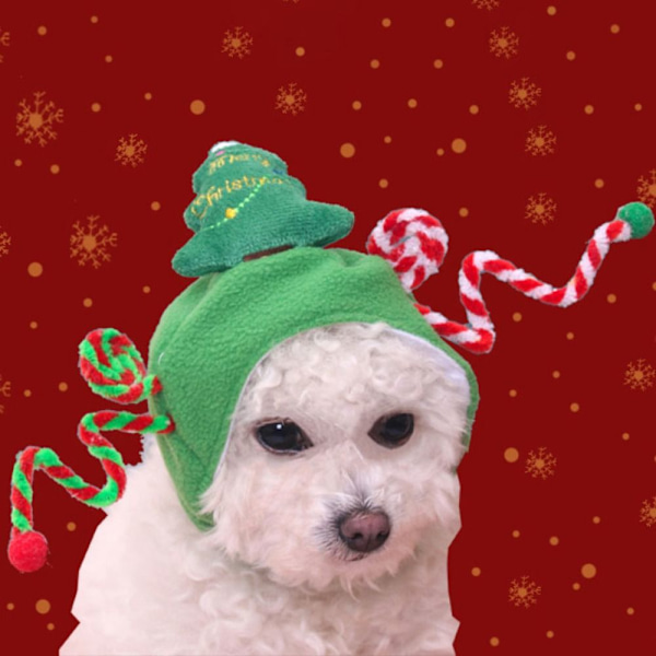 Julhundhatt Cap STYLE 6 STYLE 6 Style 6