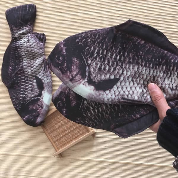 Fish Shape Penal Carp Pen Bag 3 3 3