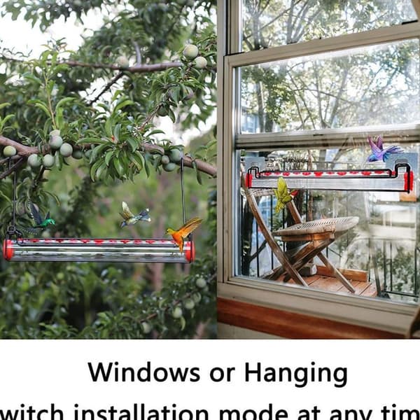Hummingbird Feeder Birds Matning A A A