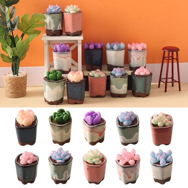 Dollhouse Succulent Bonsai Miniature Plant Potted 10 10 10