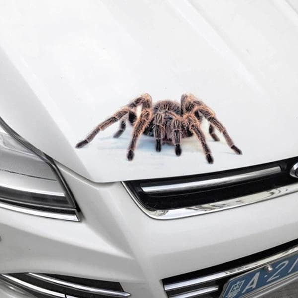 3D-autotarra Auto Decor Spider Crawling BLACK SPIDER Black spider