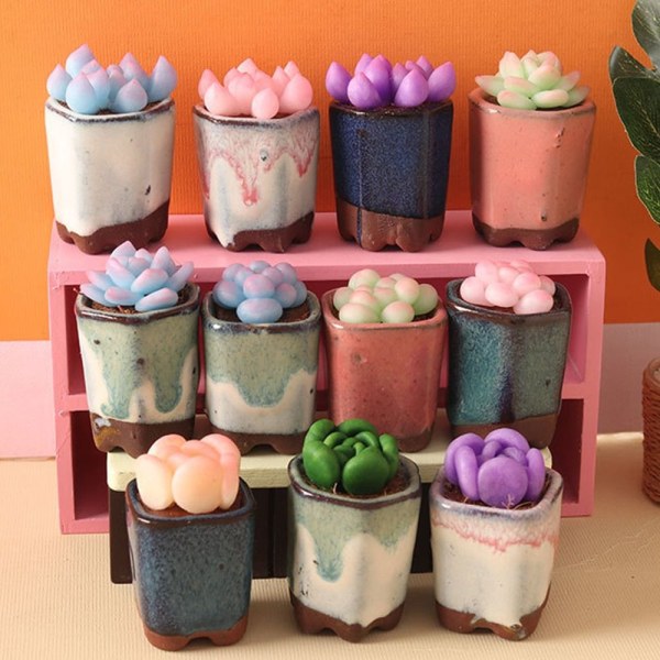 Dukkehus Sukkulent Bonsai Miniature Plante Pottet 8 8 8
