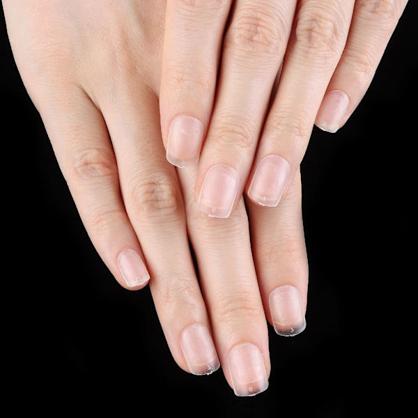 Nail Tips Falske Nails Fake Nail