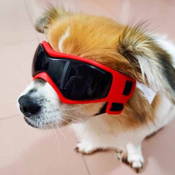Hundglasögon Solglasögon RÖDA red